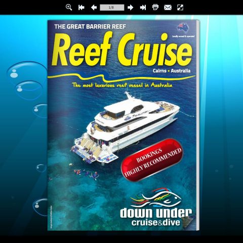 Reef Cruises Brochure